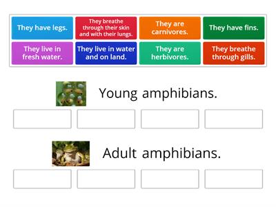 Young amphibians & Adult amphibians