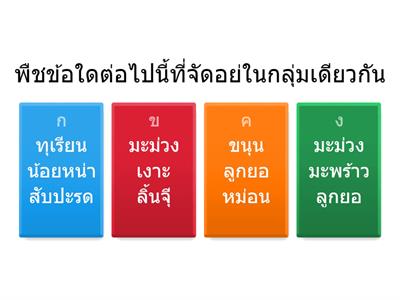 แบบทดสอบ เรื่องการเกิดผลและเมล็ด