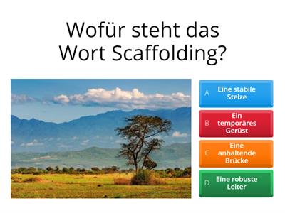 Quiz: Scaffolding Language and Learning