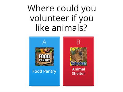 Volunteer Quiz (T1)