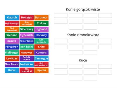 Gorącokrwiste, zimnokrwiste i kuce - rasy koni