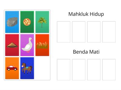 Makhluk Hidup atau Benda Mati? (PAUD Gratis)