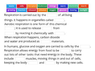 Aerobic respiration