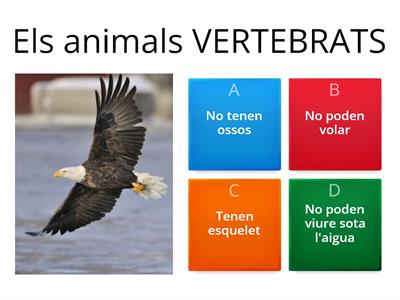 Els animals vertebrats