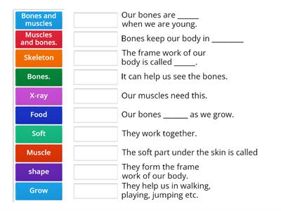 Bones and Muscles-Match up