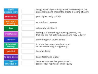 Stress and fear. Vocabulary revision. 