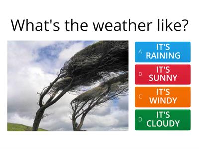 Weather