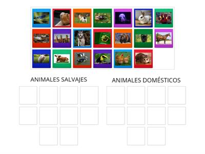ANIMALES DOMÉSTICOS-SALVAJES