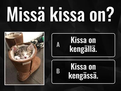 Missä kissa? -SSA/-LLA