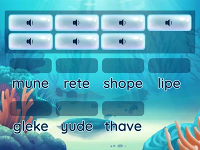 VCe (Vowel Consonant "e") nonsense words - match to correct spelling #2 (Match up)