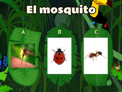  Los insectos en español