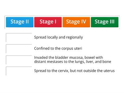 ENDOMETRIAL CANCER STAGING
