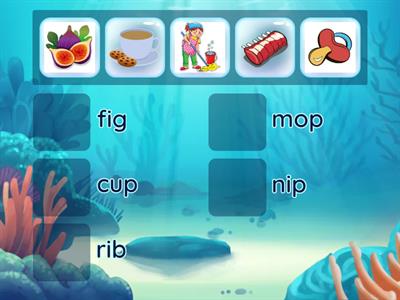 Five vocabularies of Three letter phonic words: rib, mop, cup, nip, fig