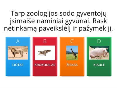 ZOOLOGIJOS SODO GYVENTOJAI. Tarp zoologijos sodo gyventojų įsimaišė naminiai gyvūnai. Rask ir pažymėk.