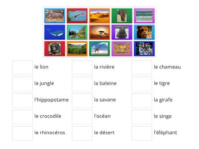 Les animaux sauvages / Habitats