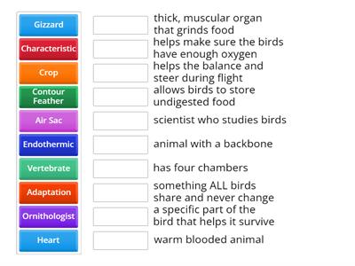 Bird Characteristics and Adaptation Test (Vocab) 