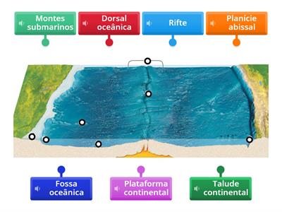 Identifica as diferentes morfologias dos fundos oceânicos.
