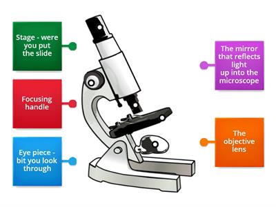 Microscope - Biology 