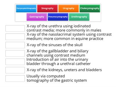 Week 99 - Diagnostic imaging terminology