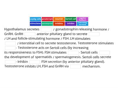 Explain the hormonal control of spermatogenesis.