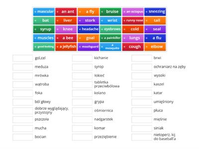 primary school - vocabulary revision mix