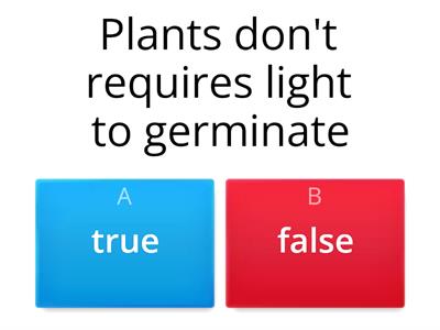 Seed structure and germination