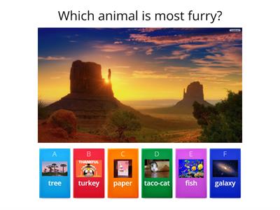 Easy Wildlife Quiz