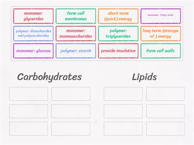 Comparing Carbohydrates & Lipids