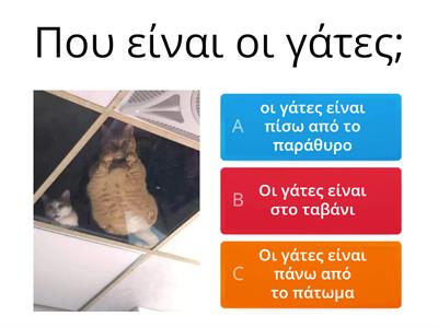 Που είναι η γάτα;;;