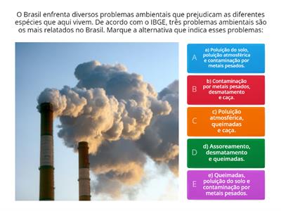  Exercícios sobre problemas ambientais brasileiros