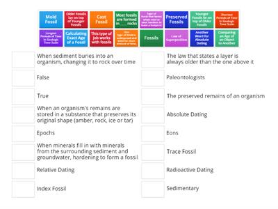 Earth History and Evolution Matching Game