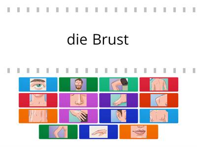 Momente A1.2 Körperteile