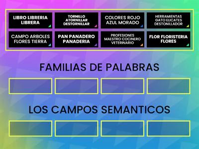FAMILIAS DE PALABRAS Y LOS CAMPOS SEMANTICOS  CLAUDIA 