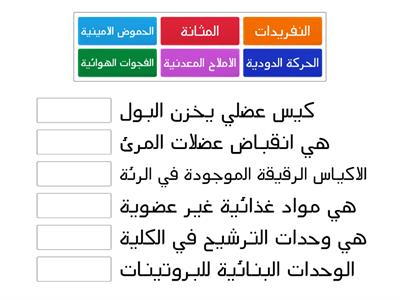 علوم ثاني متوسط 