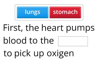 Circulatory System find the missing word
