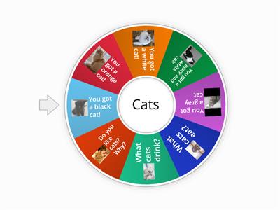 The cat wheel