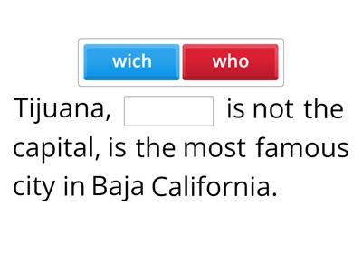 Non-defining Relative Clauses with Who & Which