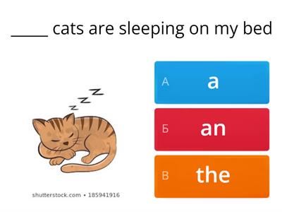 Focus 3 U5.2 Definite and indefinite articles 