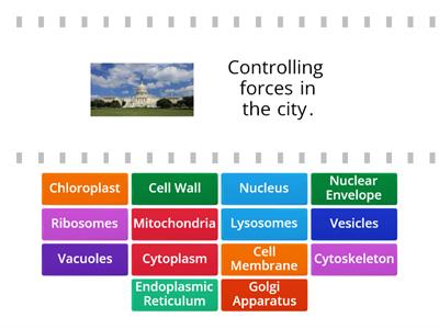 Function of parts of the cell