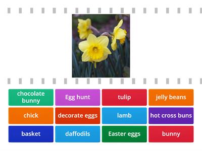 Easter Egg Hunt Vocabulary