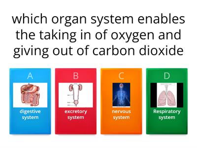   organ system 