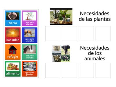 Comparando las necesidades de las plantas y animales