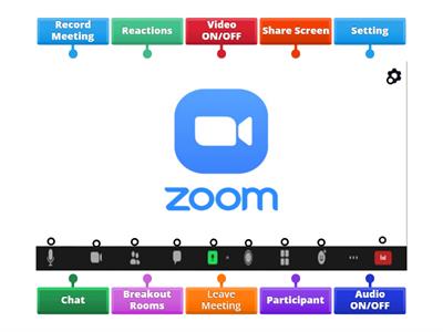 ZOOM Meeting Layout