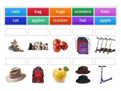 Plural nouns -S Unit 3 FF1 