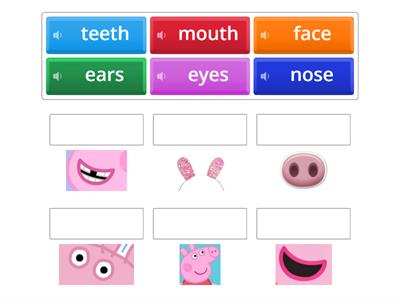  Unit 3 Face Parts