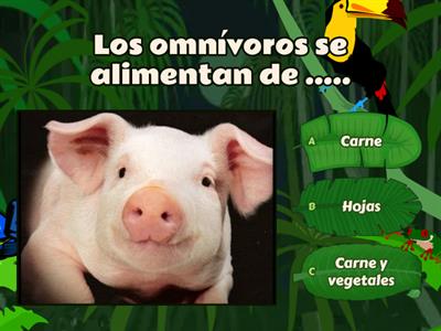 Clasificación de los animales segun su alimentación......