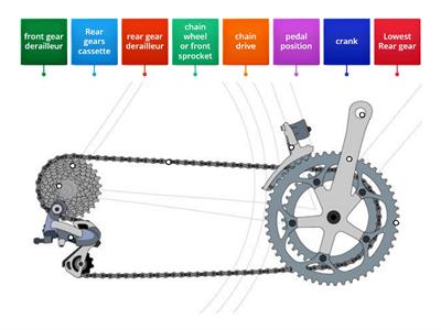 Bike Gear and Chain Drive