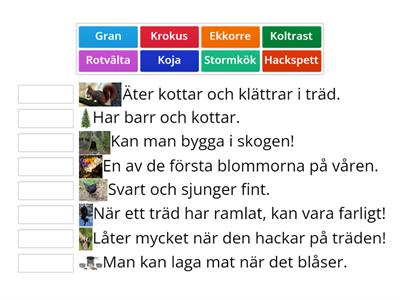 Vårutflykt