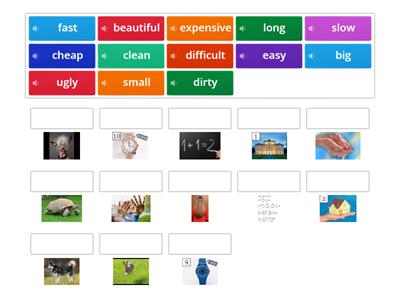 Common Adjectives - English File Beginner