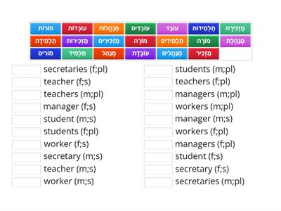 NM 3 Page 23 Noun Conjugation (Masculine, Feminine, Singular, Plural)